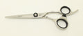 Professional Japanese Hair Cutting Shears - 6.0, 5.5 & 6.5 Inch Options