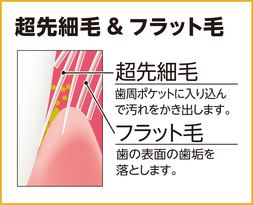 Manual Toothbrush Pack of 3 - Durable Compact Adult Oral Care