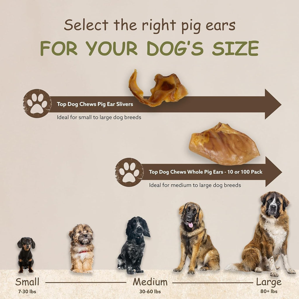 Pig Ear Dog Treats - Natural Thick Chews for Small to Large Dogs, 1LB