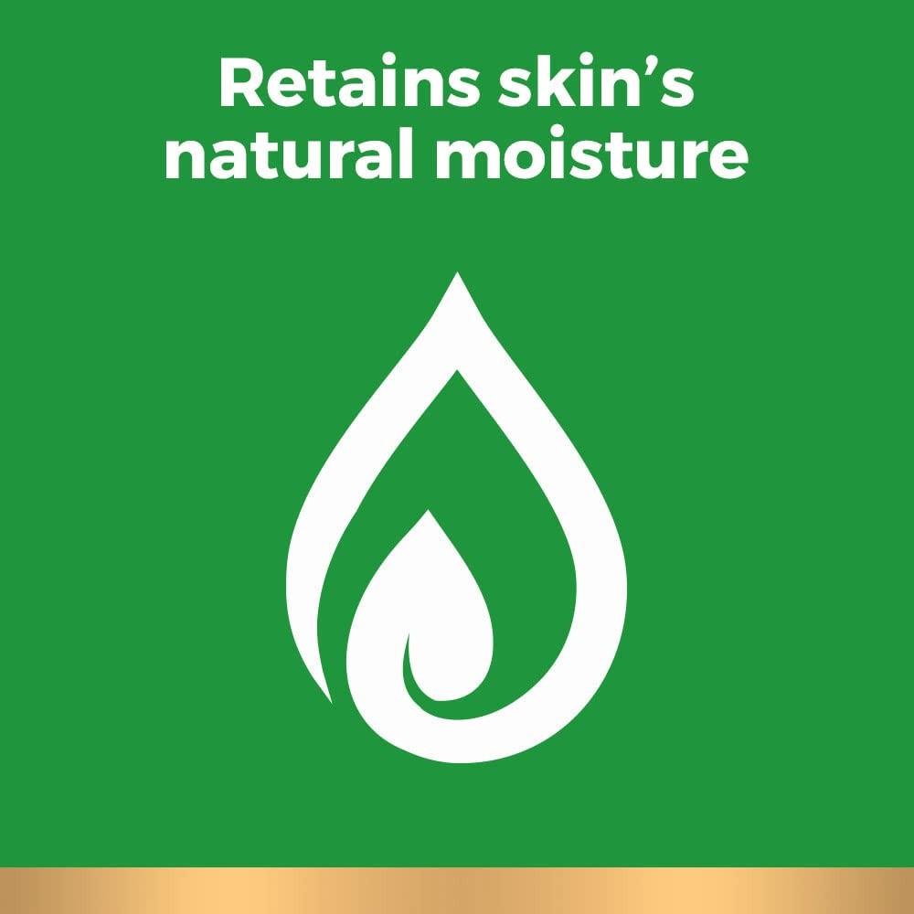 Irish Spring Original Clean Body Wash - 30 Oz Pump, Pack of 4