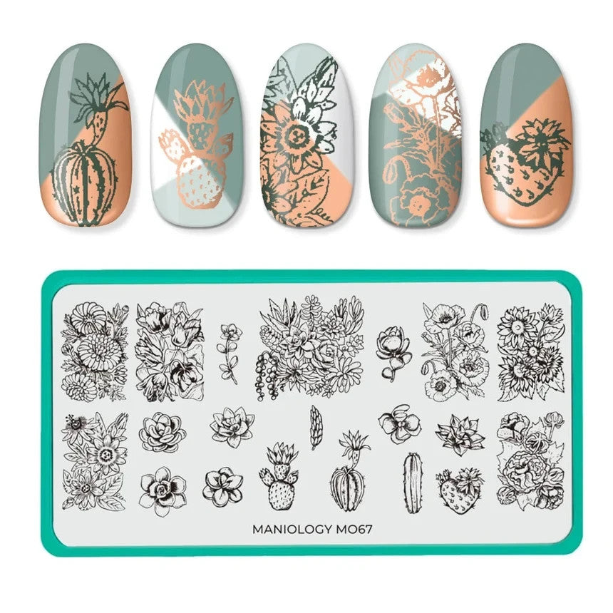 Maniology Nail Stamping Plate M067 Cactus for Nail Art