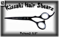 Professional 5.5-Inch Hair Cutting Scissors with Black Titanium Finish