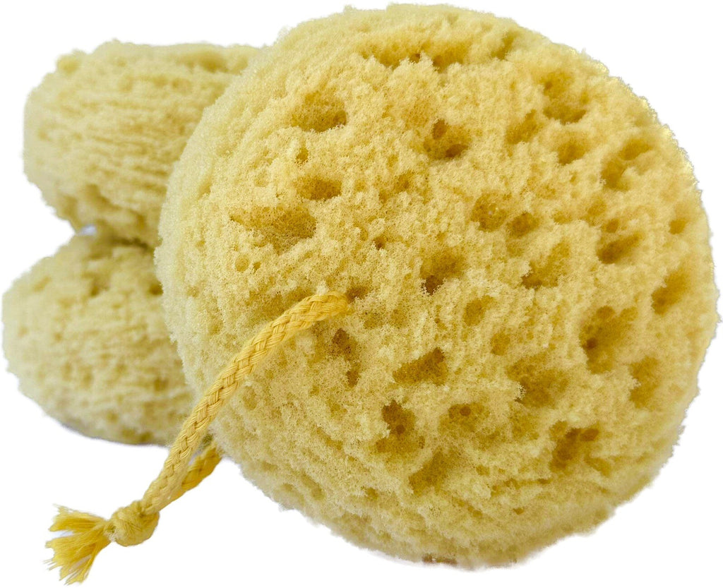 Exfoliating Sea Sponge Pack of 6 - Shower & Bath Loofahs for Gentle Cleansing