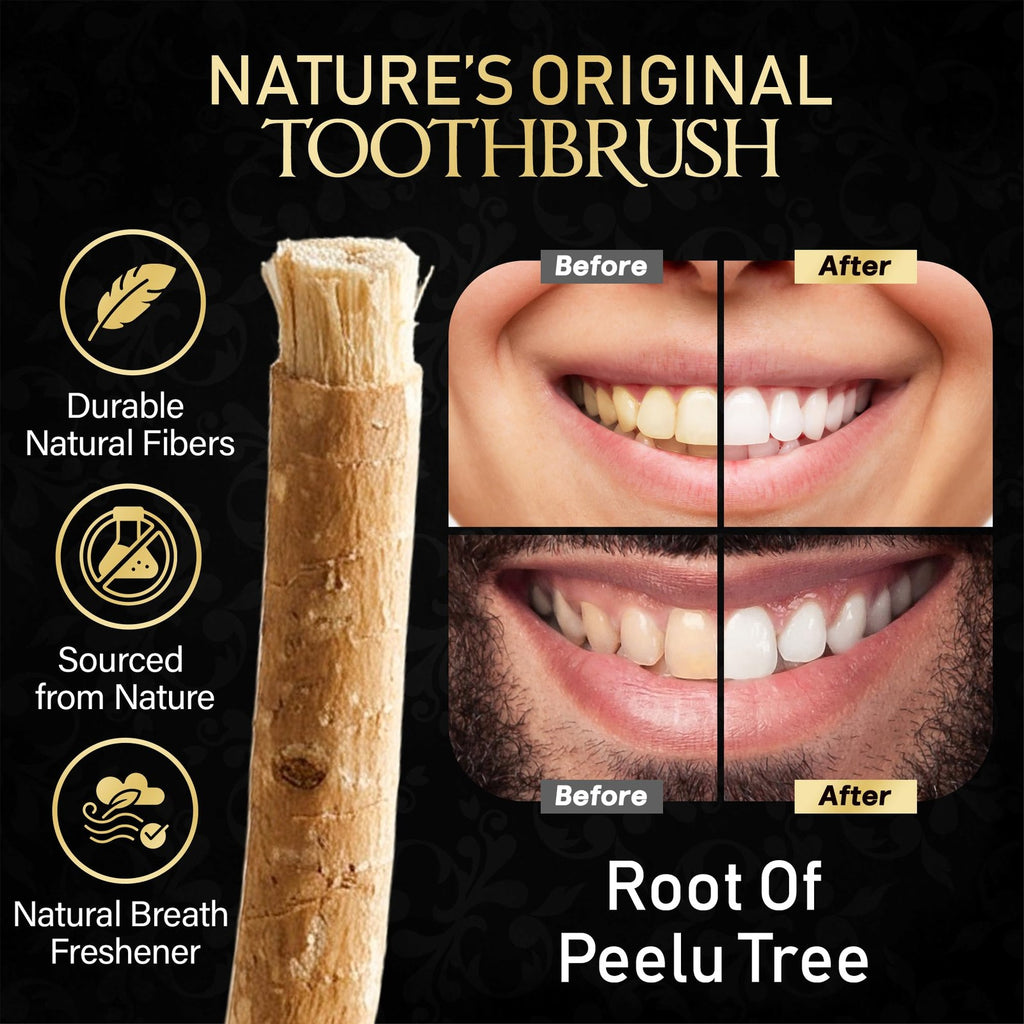 Natural Miswak Toothbrush for Adults - Traditional Oral Care