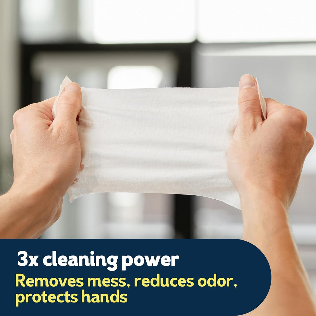 Summer Fresh Scented Flushable Wipes - 2 Packs, 42 Wipes Each