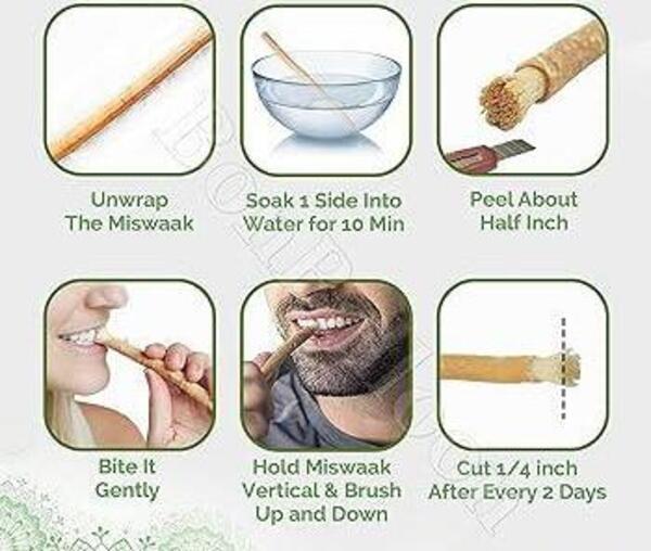 Natural Miswak Toothbrush - Vacuum Packed Traditional Oral Care Stick