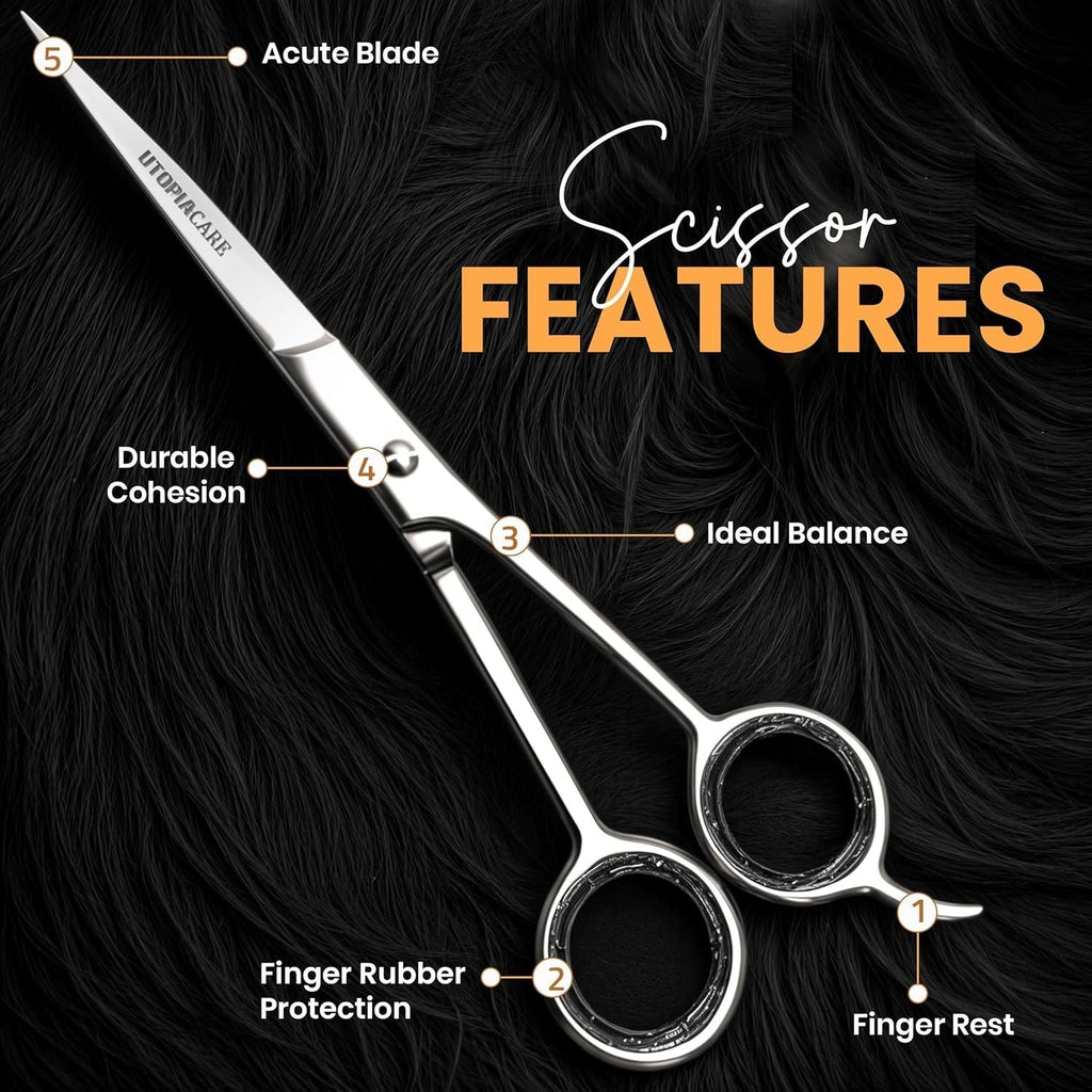 Professional Hairdressing Scissors 6.5 Inch Stainless Steel Cutting Shears