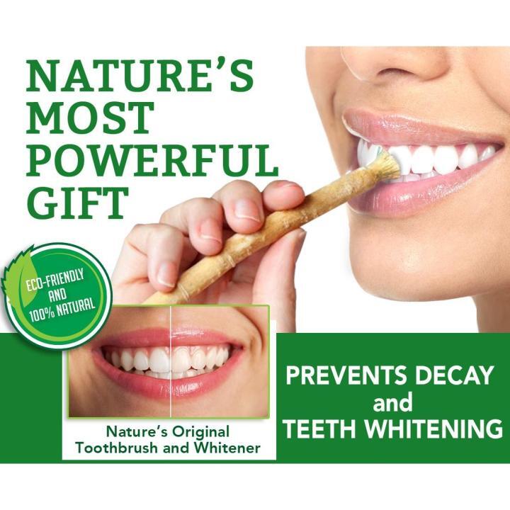Natural Miswak Toothbrush - Vacuum Packed Traditional Oral Care Stick