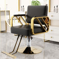 Salon & Barber Chair for Hair Styling and Hairdressing