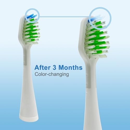 Toothbrush Replacement Heads for Water Flosser - Compatible with WP-861 & CC-01
