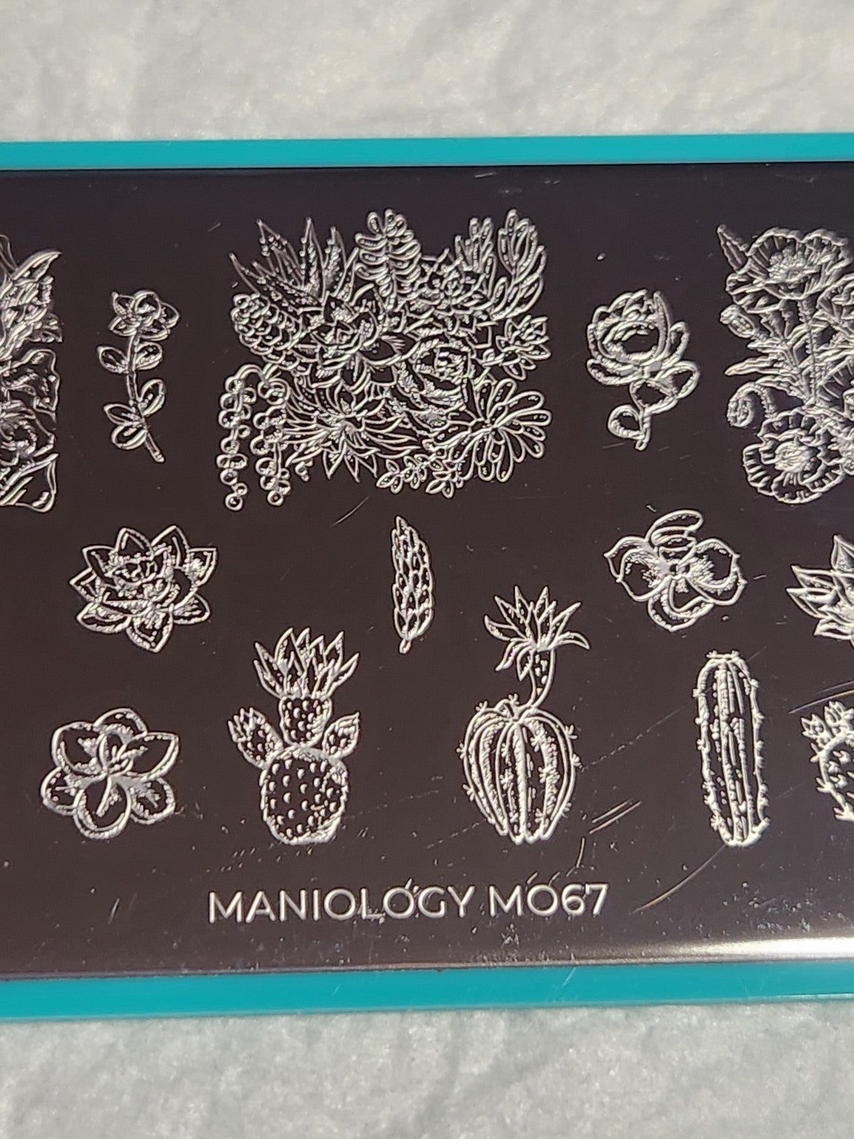 Maniology Nail Stamping Plate M067 Cactus for Nail Art