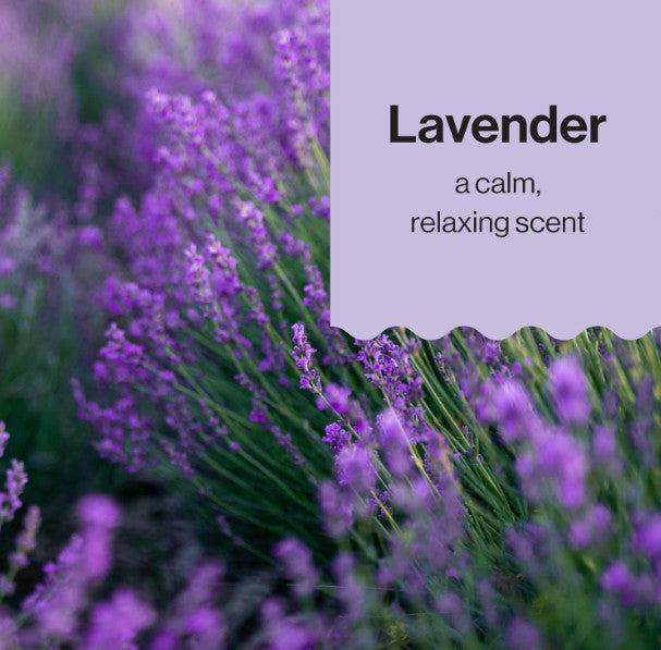 Gentle Lavender Baby Shampoo & Body Wash - Tear-Free 10 fl oz