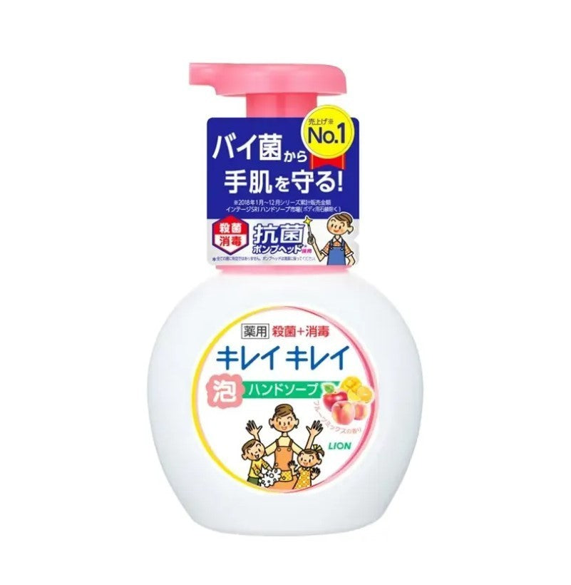 Foaming Hand Soap Pump Pack - 3 Types of Antibacterial Foam Dispensers