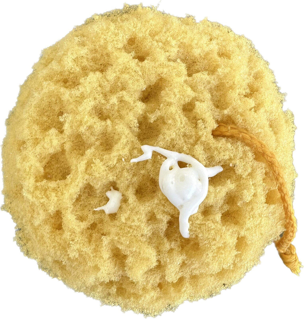 Exfoliating Foam Sea Sponge Set of 3 for Shower & Bath – Redesign, Quick Dry, Shedding-Resistant