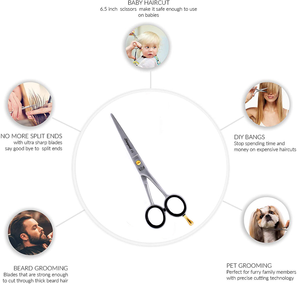 Professional Hair Cutting Scissors 6 Inch Stainless Steel Barber Shears