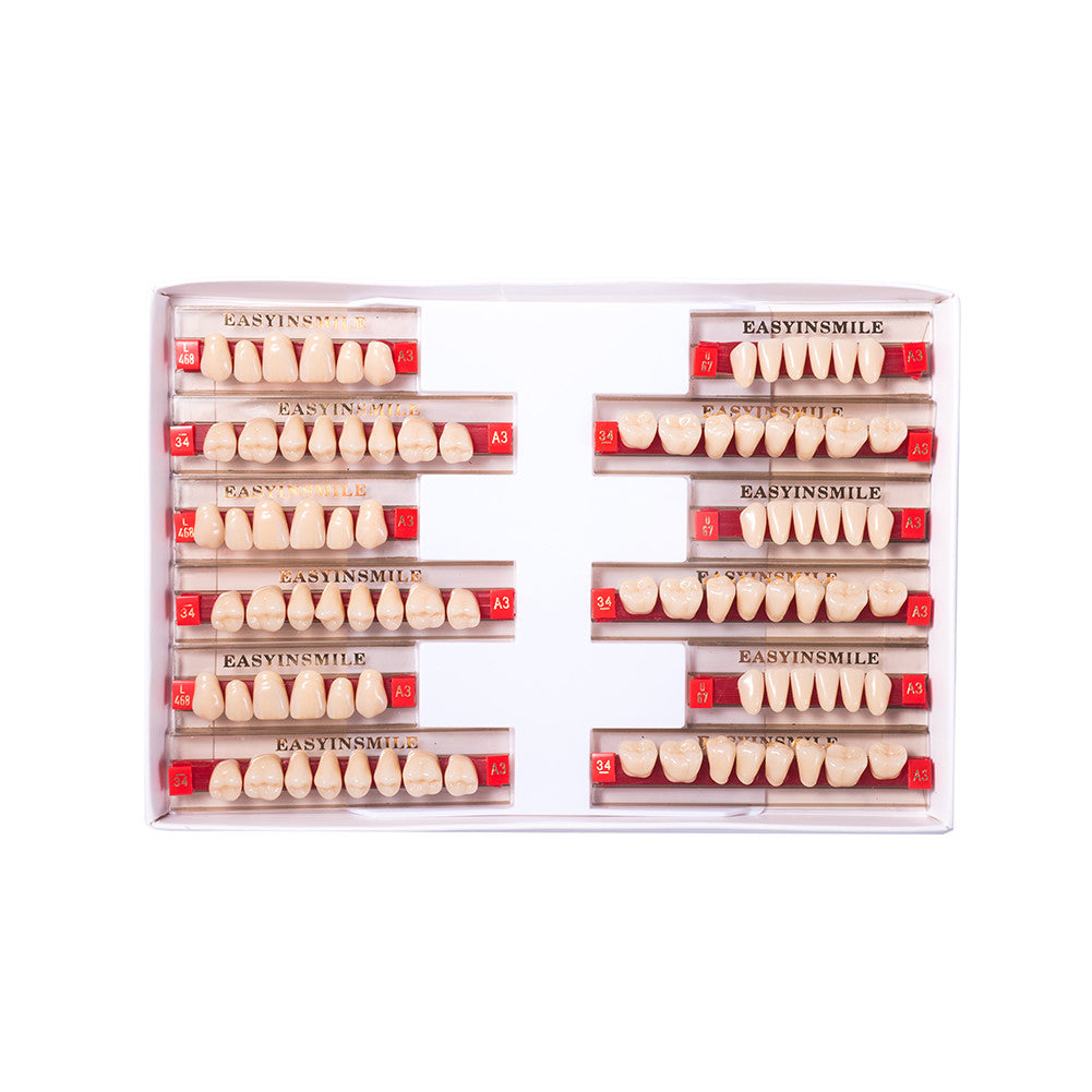Dental Acrylic Teeth Set for Dentures - Full Upper & Lower Teeth, Multiple Colors