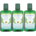 Natural Ayurvedic Mouthwash with Neem & Peelu – 16 fl oz Pack of 3