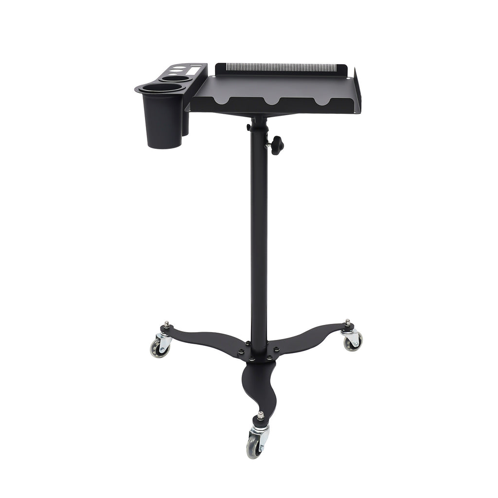 Mobile Salon Hairdressing Cart with 2 Bowls & Rolling Service Tray, Stainless Steel