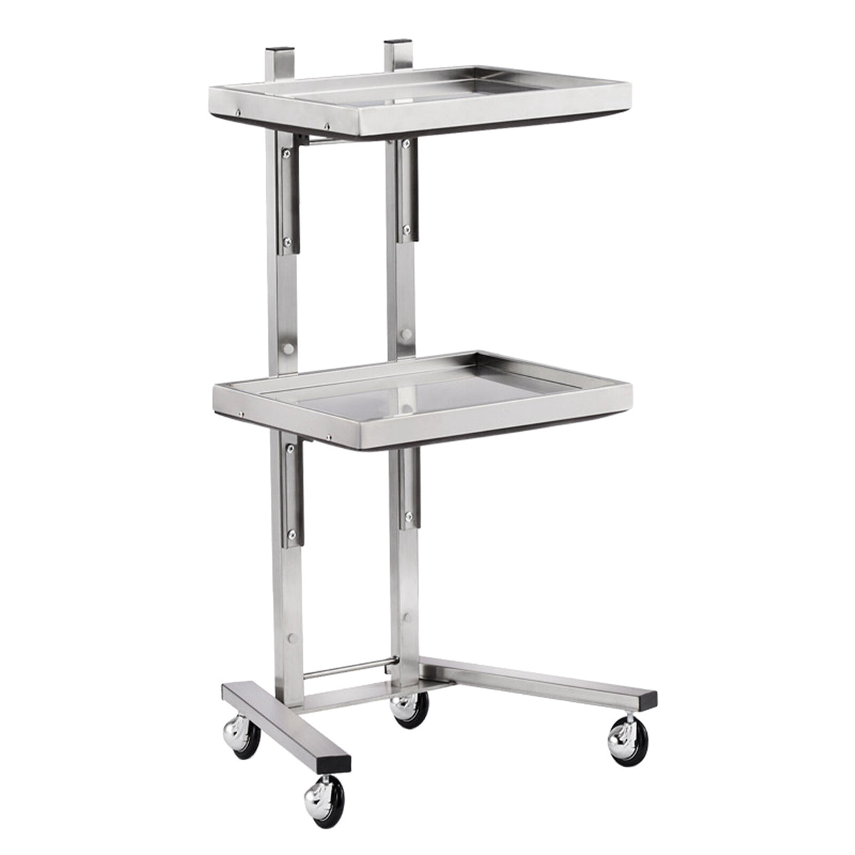 2-Tier Salon Trolley Cart with Wheels - Space-Saving Beauty & Spa Storage