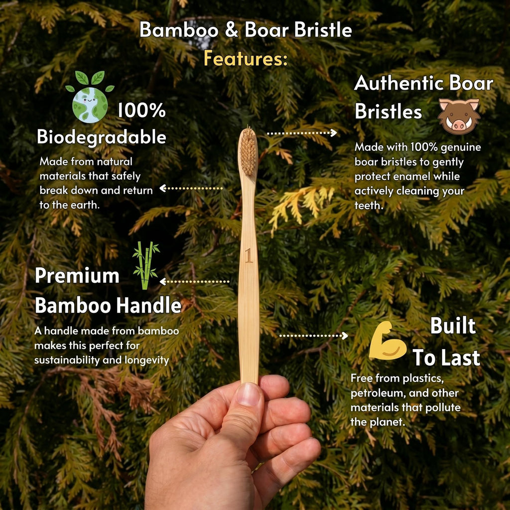 Natural Boar Bristle Bamboo Toothbrush 10 Pack - Eco-Friendly & Self-Standing