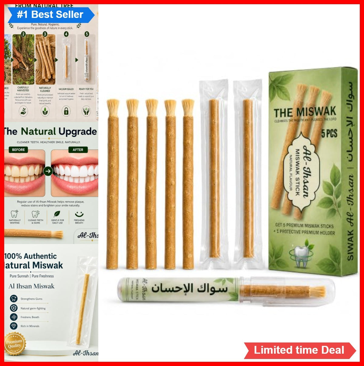 Natural Miswak Sticks 5 Pack - Eco-Friendly Salivadora Persica Toothbrush with Holder