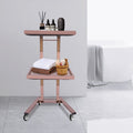 2-Tier Hairdressing Salon Trolley Cart with Trays & Wheels