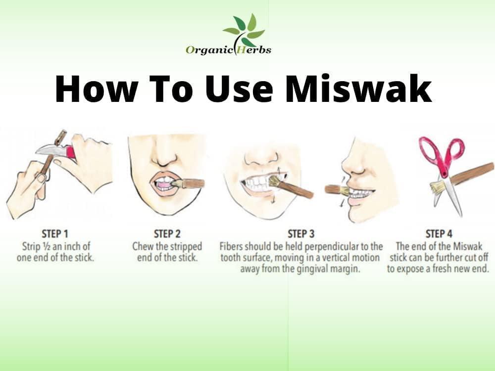 Natural Miswak Toothbrush - Vacuum Packed Traditional Oral Care Stick