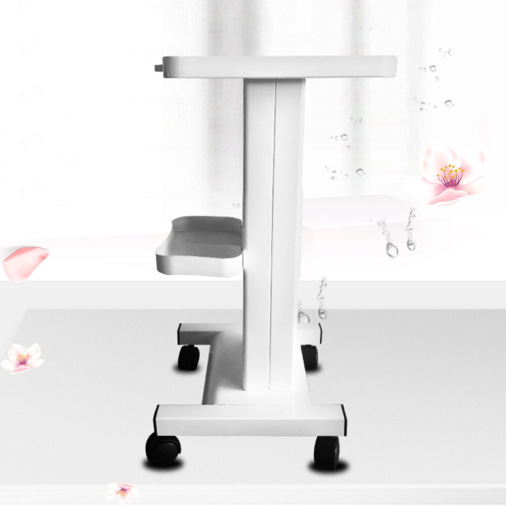 Beauty Salon Equipment Cart with Wheels, Storage Trolley & Stand