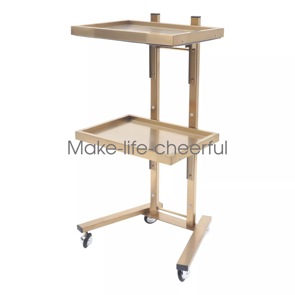 Stainless Steel 2-Tier Salon & Spa Rolling Cart with Double Storage Tray
