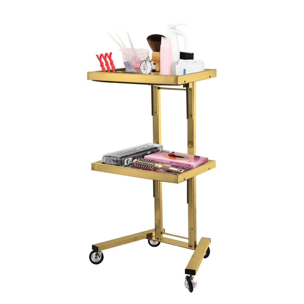 Salon Rolling Trolley Cart with Stainless Steel Frame and Lockable Wheels