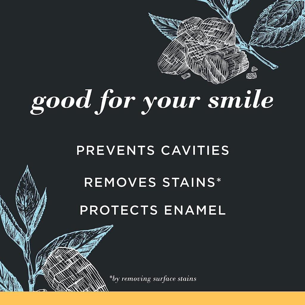 Burt’s Bees Charcoal Whitening Toothpaste Fluoride Mountain Mint 4.7oz 3 Pack