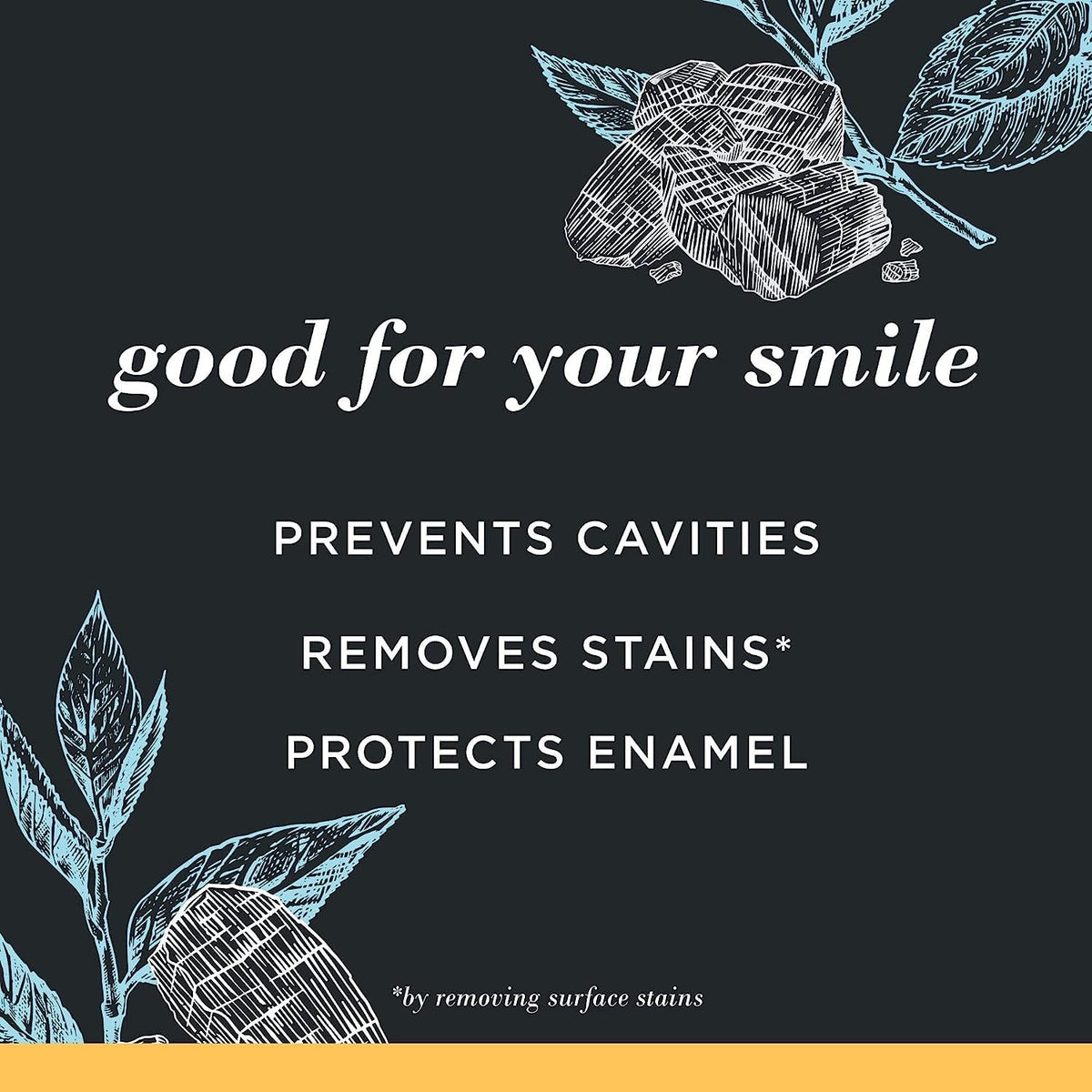 Burt’s Bees Charcoal Whitening Toothpaste Fluoride Mountain Mint 4.7oz 3 Pack