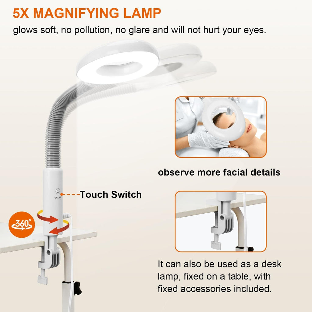 Professional 2-in-1 Facial Steamer with 5X Magnifying Lamp - Home Spa Equipment