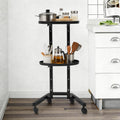 Movable Adjustable Salon Trolley Station with 2 Tiers and Wheels for Hairdressing Tools