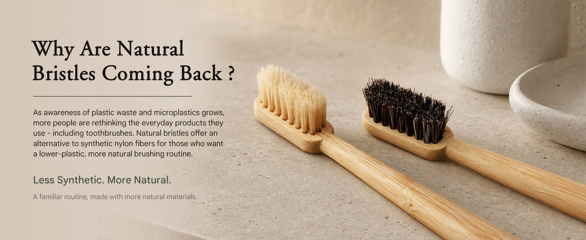 Natural Bamboo Toothbrush Set with Boar and Horsehair Bristles Eco-Friendly