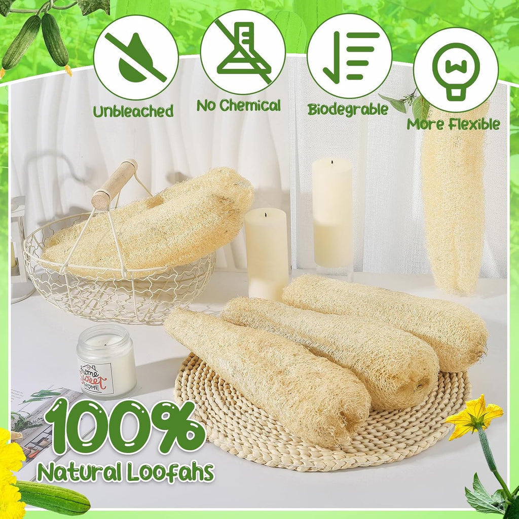 Natural Loofah Sponges 11.8-Inch 6-Pack, Organic Bath & Body Exfoliator