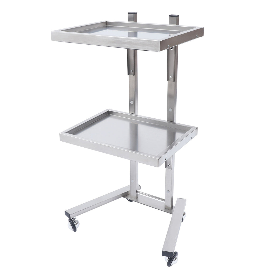 Stainless Steel 2-Tier Medical & Salon Trolley Cart with Wheels